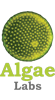 AlgaeLabs - biuro rachunkowe opinia